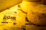 Made in Malga 5