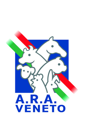 ARA Veneto